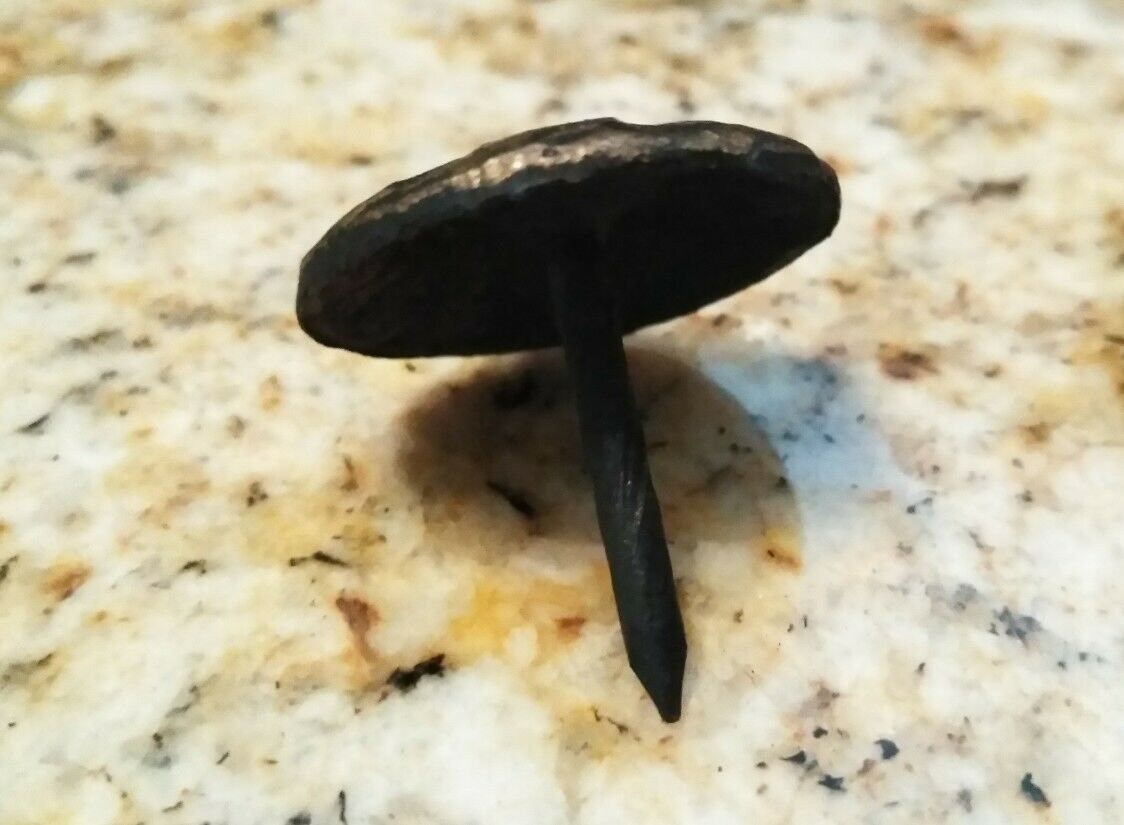 1" Inch Nail Heads Clavos for Upholstery Hammered iron